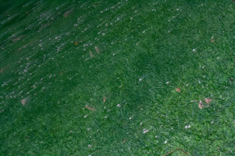 20250408-_MG_0007.jpg